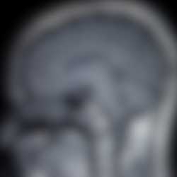 Patient Icon
